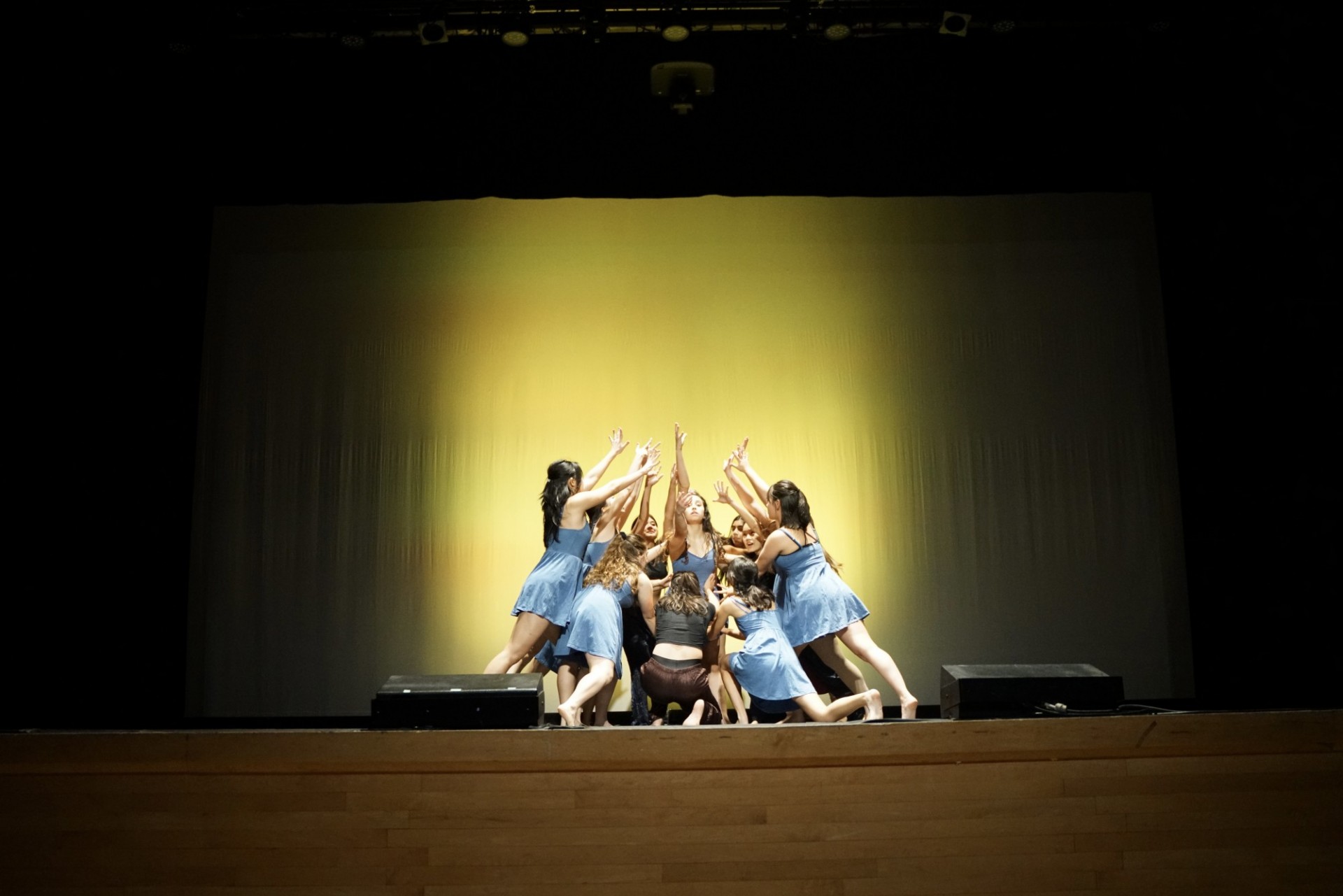 Photo from Fall 2023 show, RodeOrchesis (credit: Olivia Kuan-Romano)